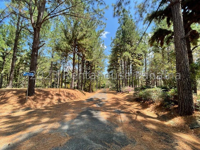 Beautiful Lot- Lote en Altos de María, Panamá